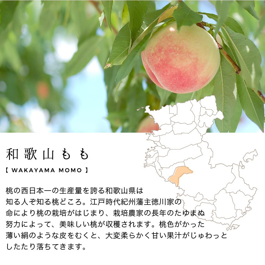 和歌山フルーツワイン 桃（もも）