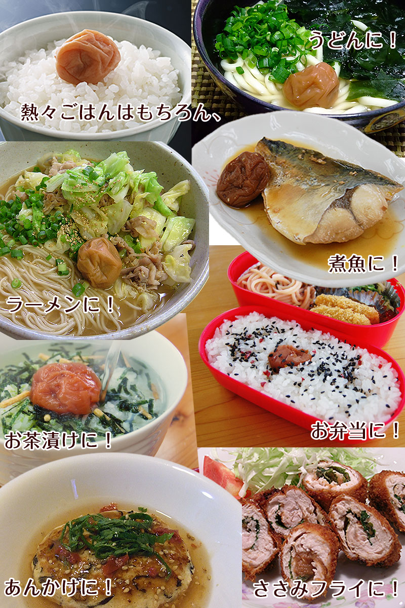 内祝い ギフト たっぷりお得に！業務用梅干し・南高梅10kg (fy9
