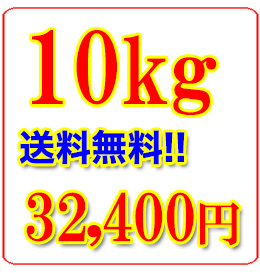 内祝い ギフト たっぷりお得に！業務用梅干し・南高梅10kg (fy9
