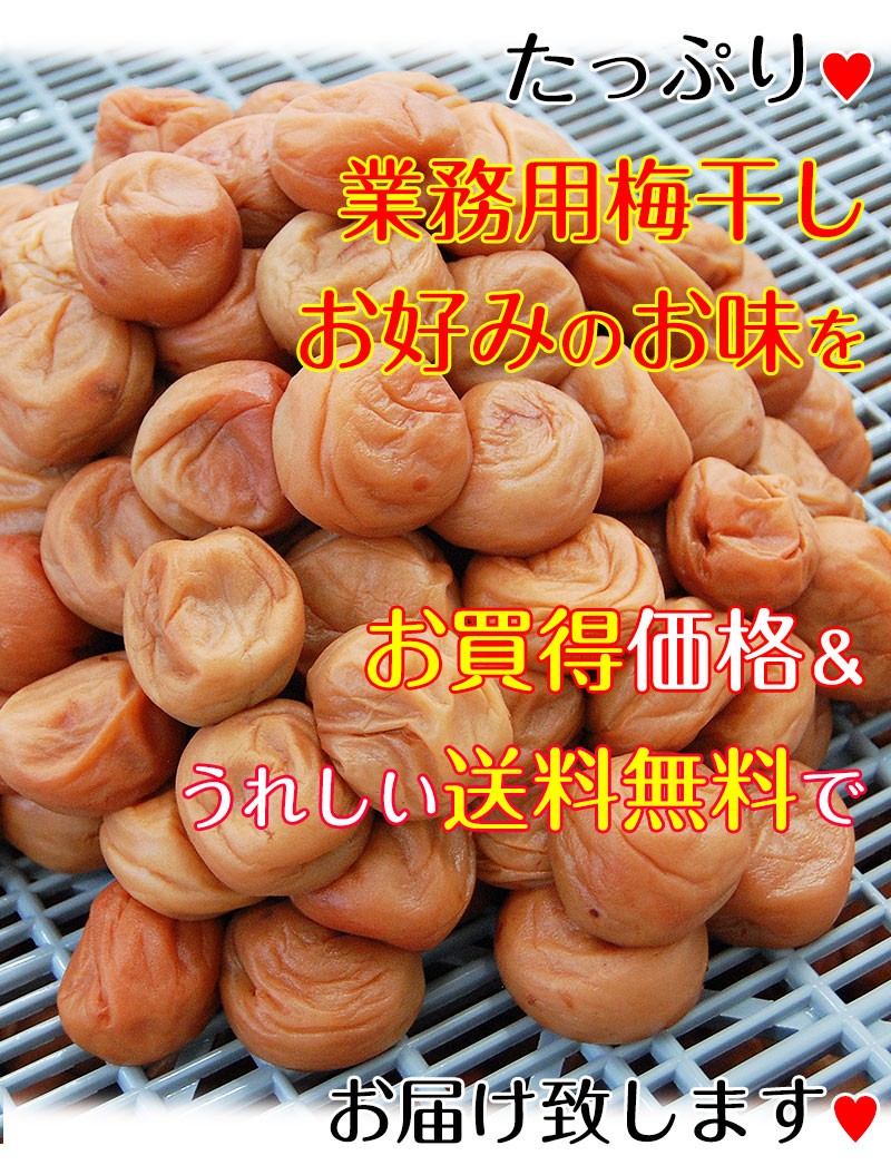内祝い ギフト たっぷりお得に！業務用梅干し・南高梅10kg (fy9