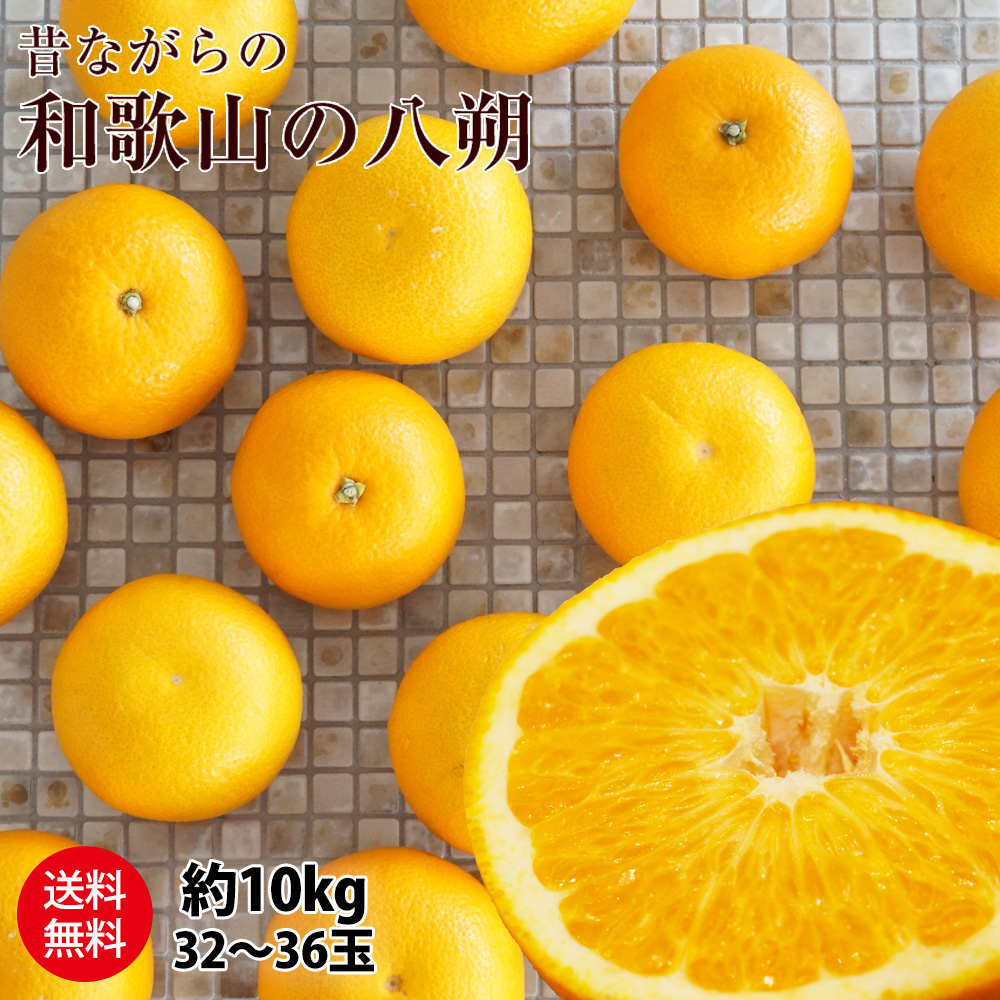 ご予約受付中 ご家庭用 和歌山の八朔（ハッサク）約10kg 減農薬・有機
