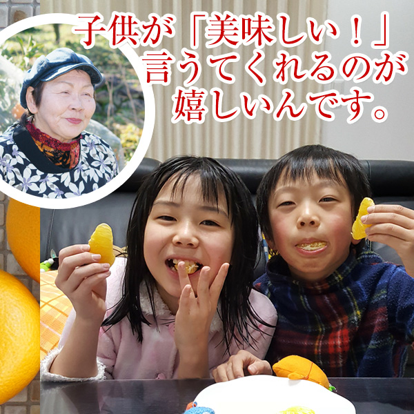 ご予約受付中 ご家庭用 和歌山の八朔（ハッサク）約10kg 減農薬・有機