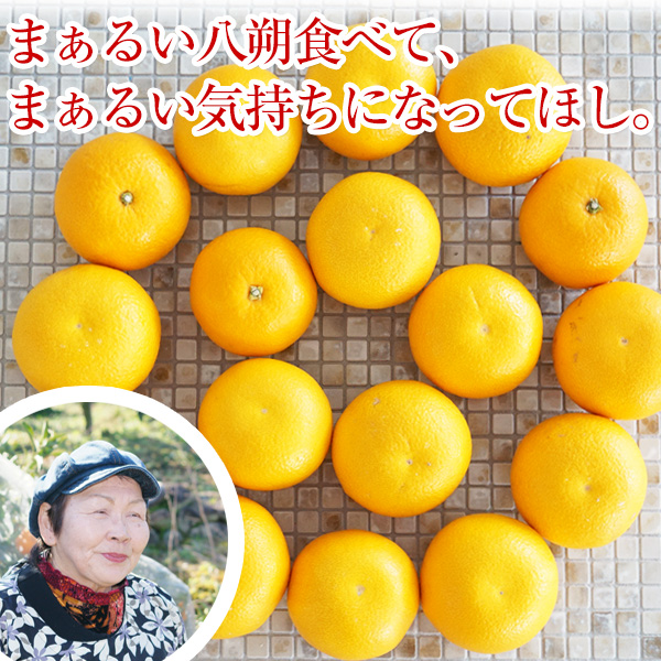 ご予約受付中 ご家庭用 和歌山の八朔（ハッサク）約10kg 減農薬・有機