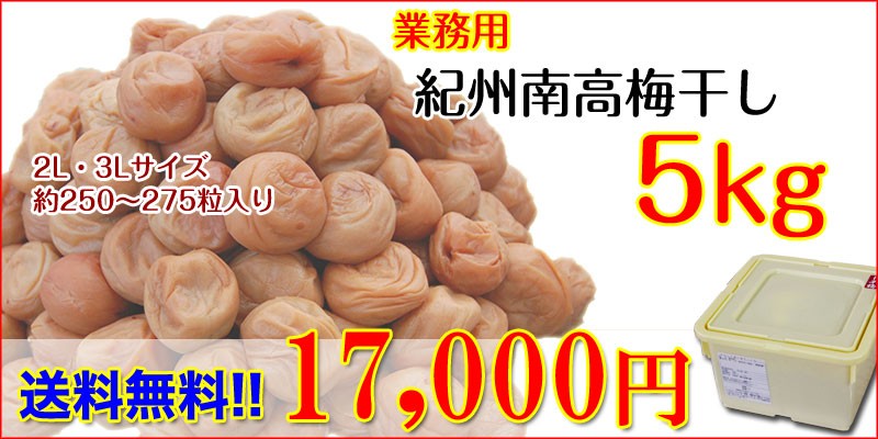 たっぷりお得に！業務用梅干し・南高梅5kg (fy9) :umeboshi5:紀州ふみこ農園 - 通販 - Yahoo!ショッピング