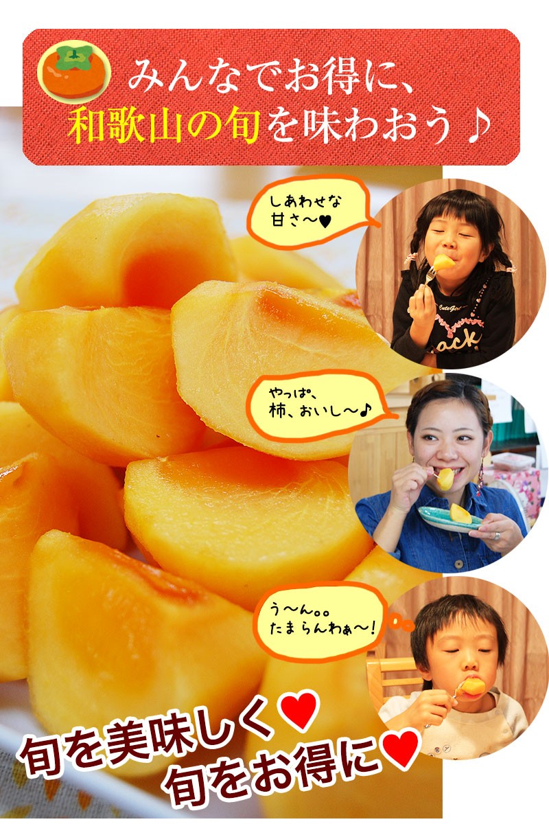 和歌山のたねなし柿 約4kg 送料無料 ※一部地域除く　(fy4)