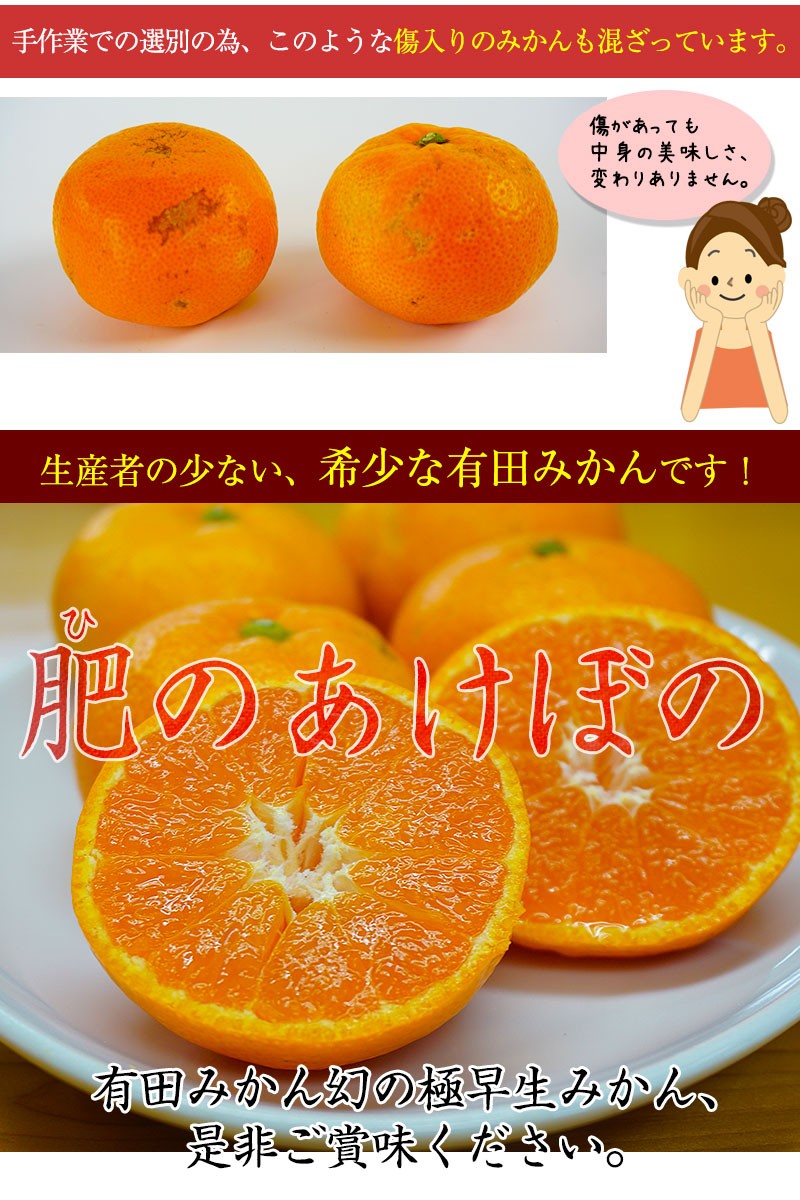 あけぼの 2025年 ご予約開始 有田みかん極早生品種の最高峰！ 幻の