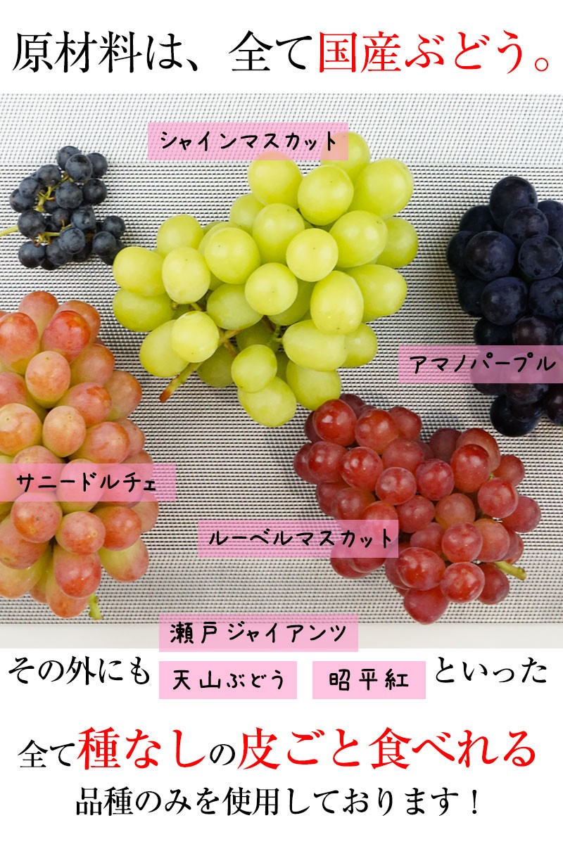 偽干葡萄 偽干葡萄様専用 干し葡萄 - 光永食品株式会社