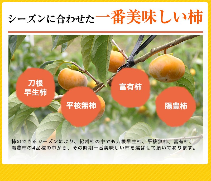 2026年 ご予約開始 無添加 ひと口干し柿 柿っこ100g×2 全国送料無料 柿っ娘 和歌山県産 一口 干し柿 ドライフルーツ 柿 関連画像4