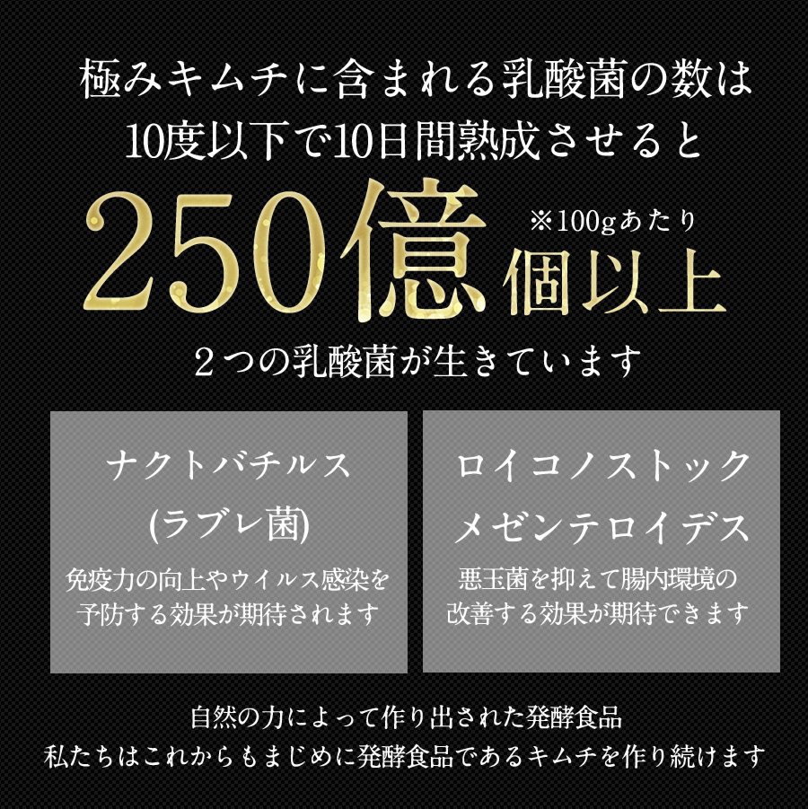 贅沢キムチ食べ比べセット（5種類の野菜キムチ