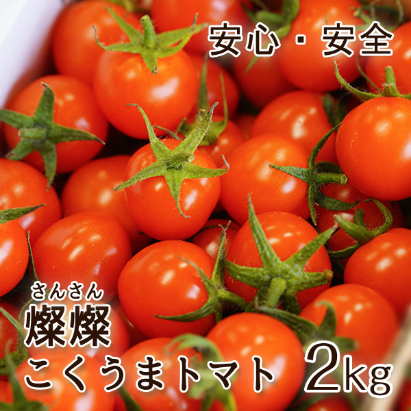 爆買 2026年 ご予約開始 和歌山県産 ミニトマト 燦燦（さんさん）こく