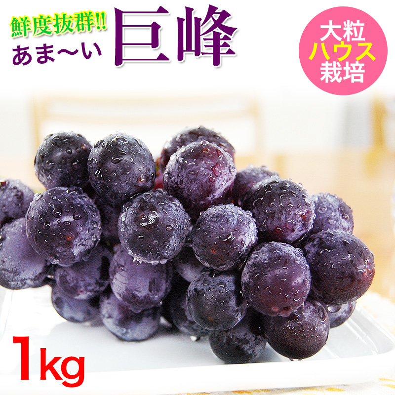巨峰ハウス1kg