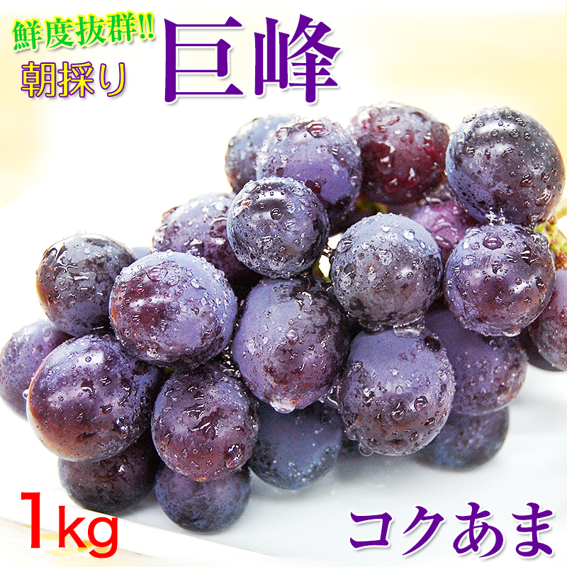 シャインマスカット500g