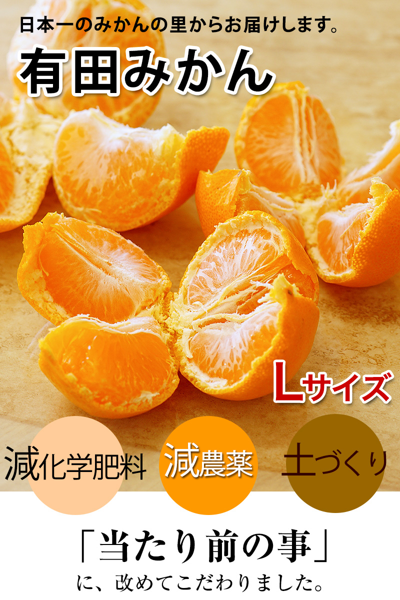 ��̣����ͭ�Ĥߤ�����Ϥ����ޤ���