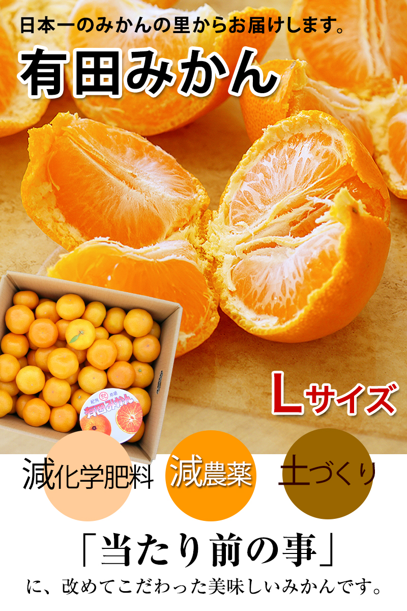 ����������ǫ�˺��ݡ����ε������Ǻ������̣����ͭ�Ĥߤ���