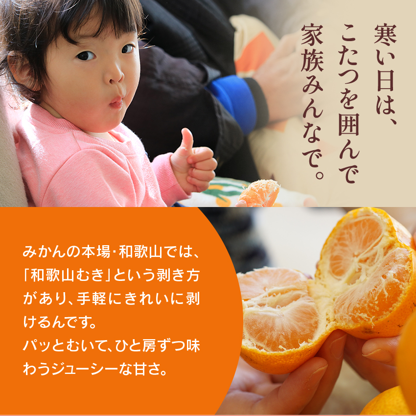 まとめ購入確認用1200■ THANKSGIVING LIVE 2010 有田みかん約5kg サイズおまかせ（S~L） 1月10日頃から順次発送 【AQ選