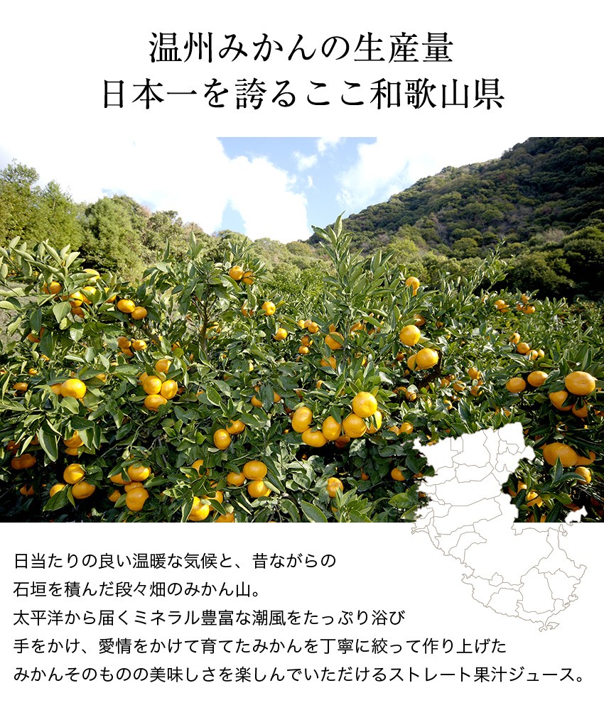 みかんジュース