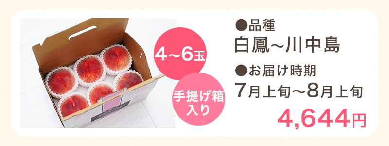 4��6��