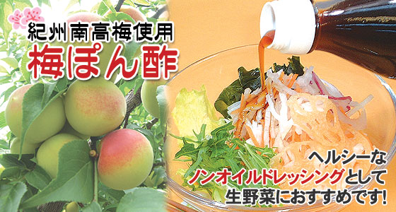 南高梅の果肉をたっぷり使いました。