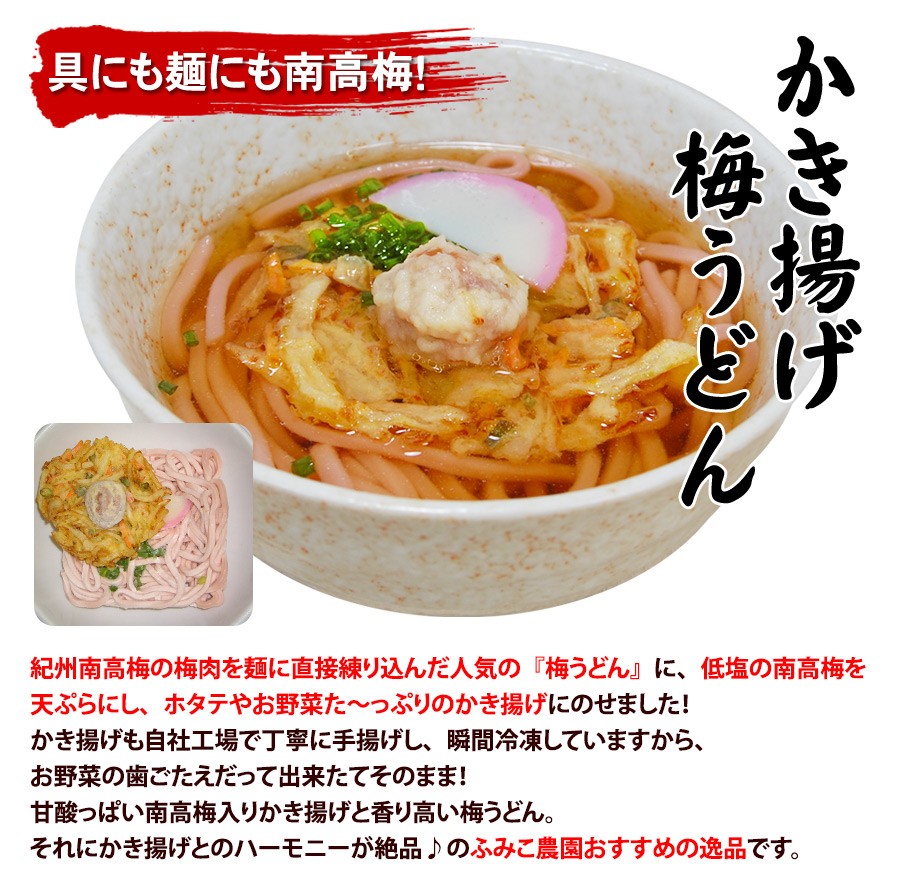 かきあげ梅うどん