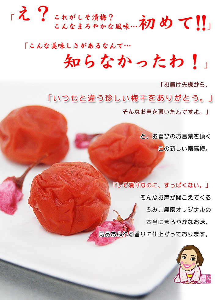 259円 【お買得！】 無添加 国産 紀州南高梅蜜 120g fy2