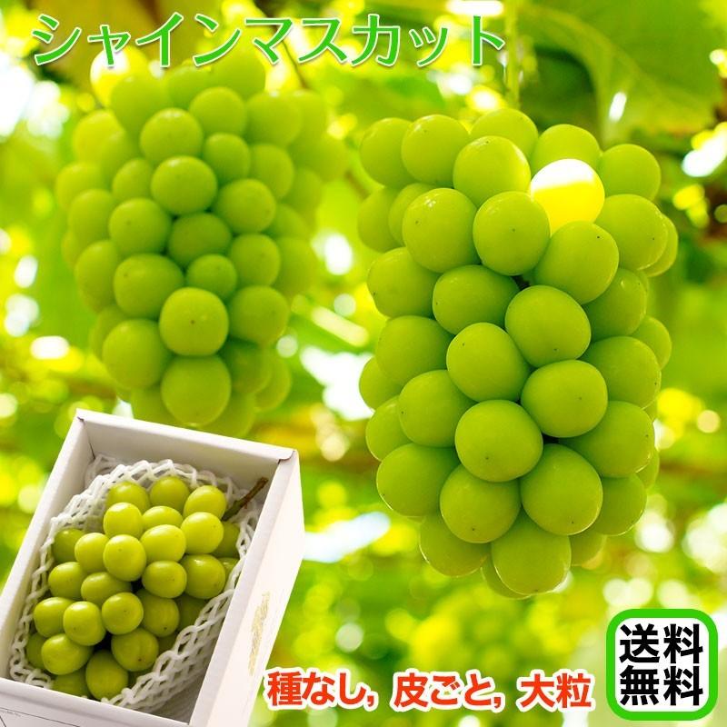 シャインマスカット500g