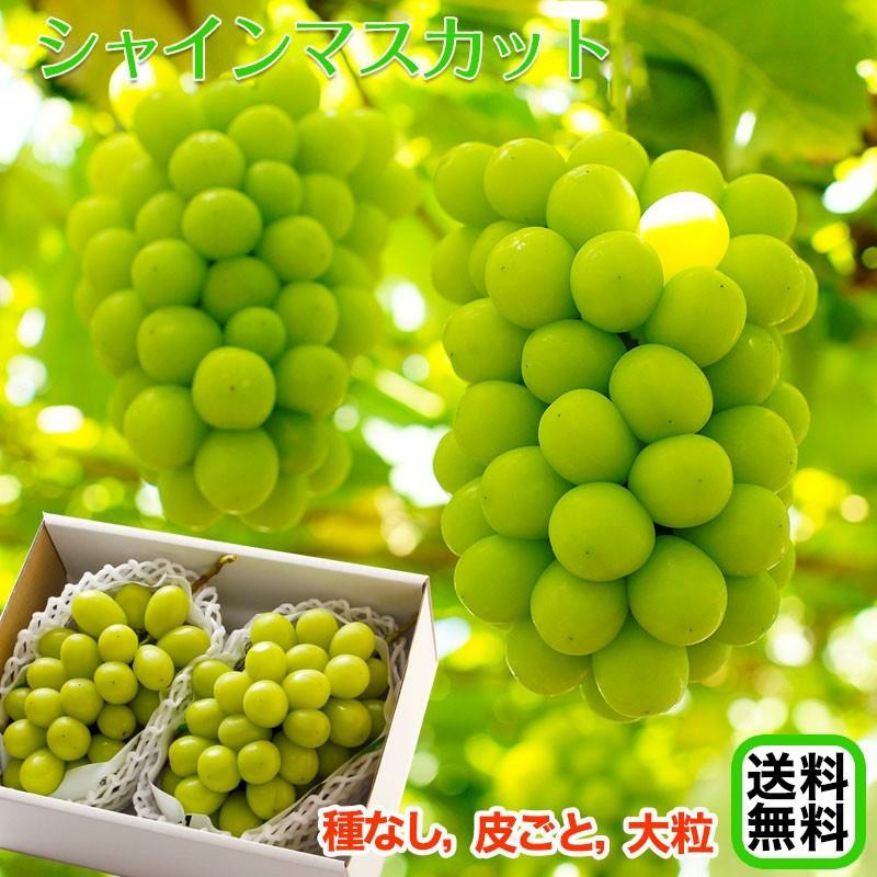 シャインマスカット1kg