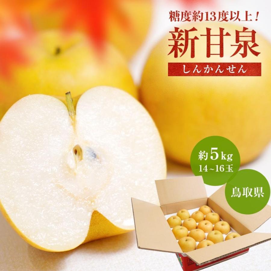 新甘泉