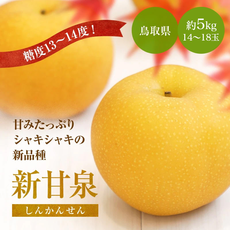 2026年 ご予約開始 秋の味覚 梨(なし) ...の詳細画像1