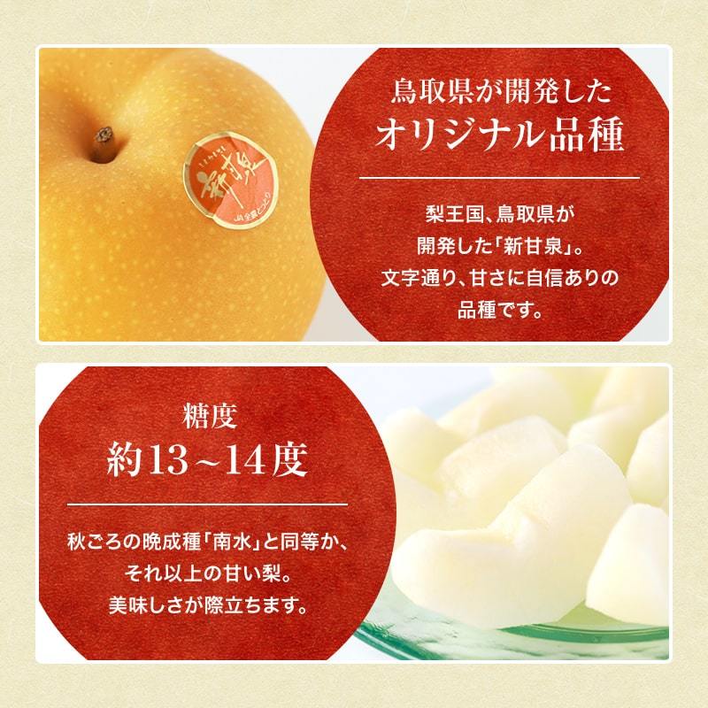 楽天市場】梨 あきづき 10kgの通販