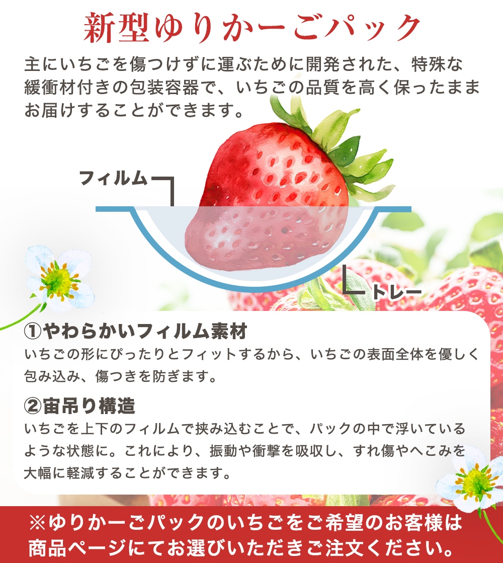和歌山の苺 和歌山県産