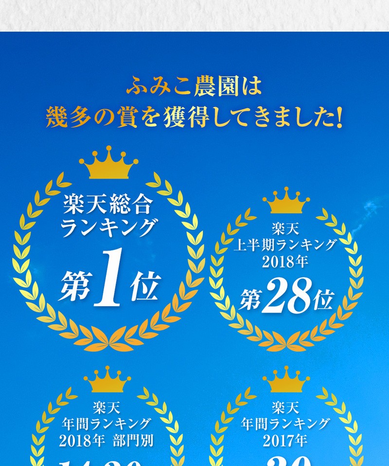楽天ランキング受賞!