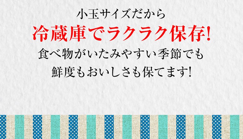 冷蔵庫でラクラク保存1
