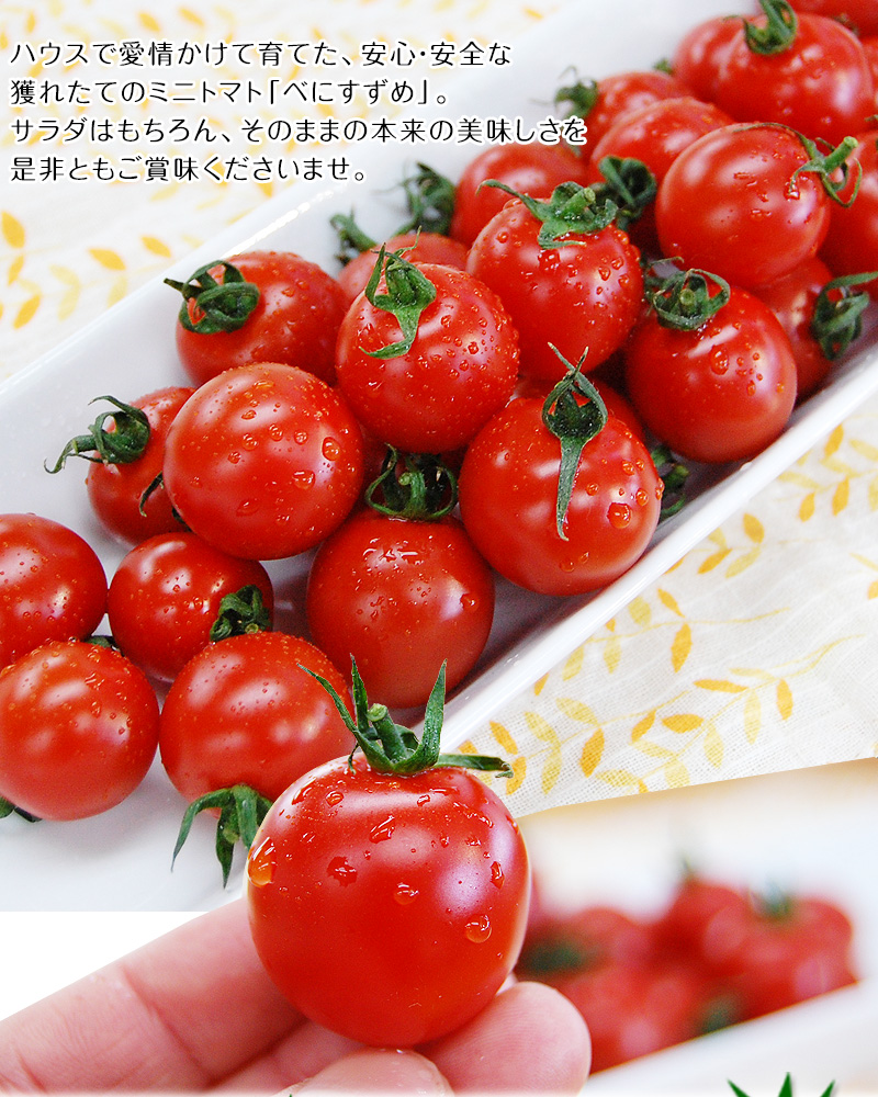 内祝い ギフト 2024年予約開始！ ミニトマト べにすずめ 2kg（送料無料） 減農薬、減化学肥料で育てたこだわりハウス栽培の美味しさ！ (fy5)