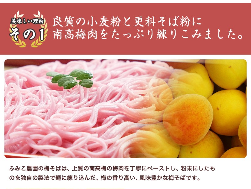 紀州 梅ざるそば 500g（5人前 めんつゆ付）ご家庭用【全国送料無料】 (fy3) :ume-sobacool:紀州ふみこ農園 - 通販 -  Yahoo!ショッピング