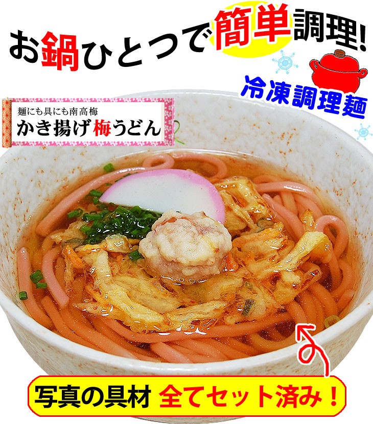 70％OFFアウトレット 南高梅梅肉入 紀州梅うどん 2食スープ付 fy2 materialworldblog.com