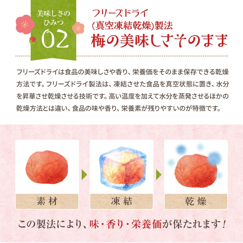 梅の美味しさそのまま