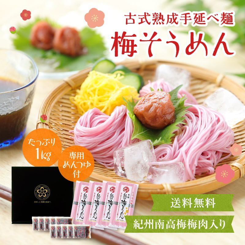 紀州梅そうめん10食セット専用めんつゆ付