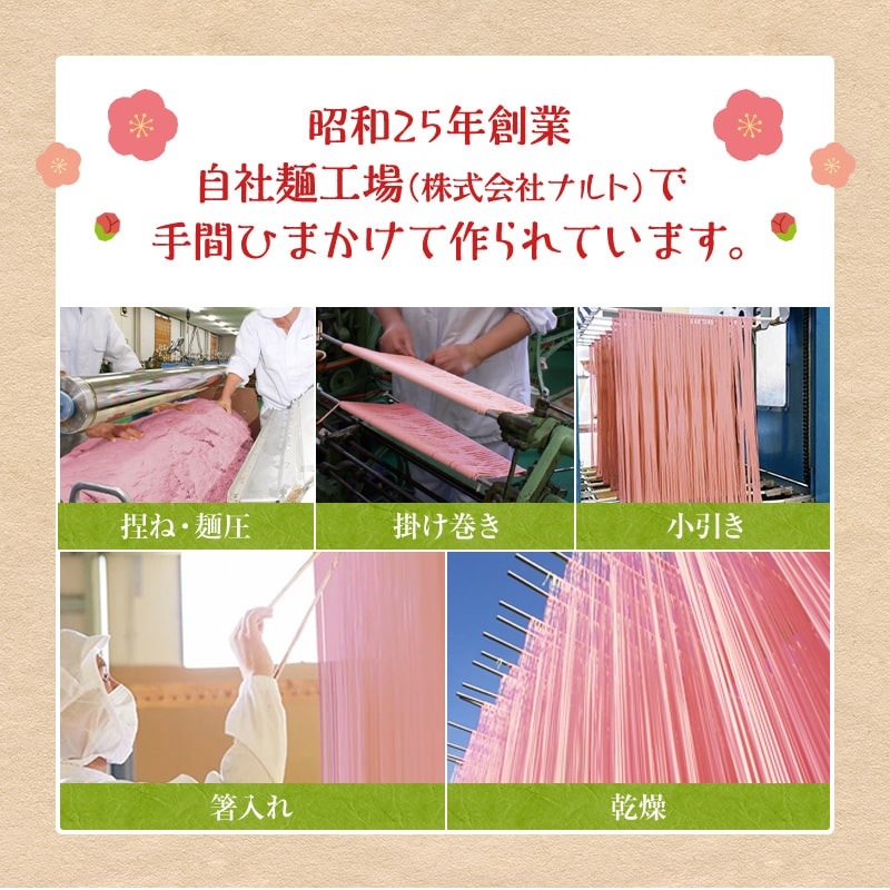 紀州梅そうめん10食セット専用めんつゆ付
