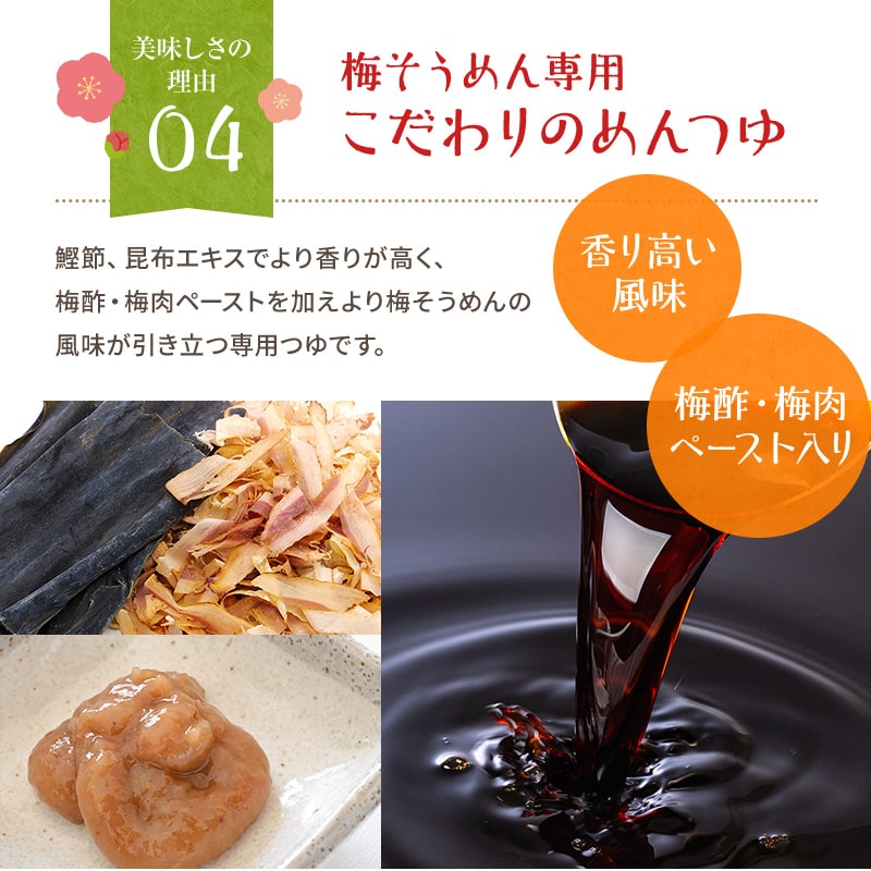紀州梅そうめん10食セット専用めんつゆ付