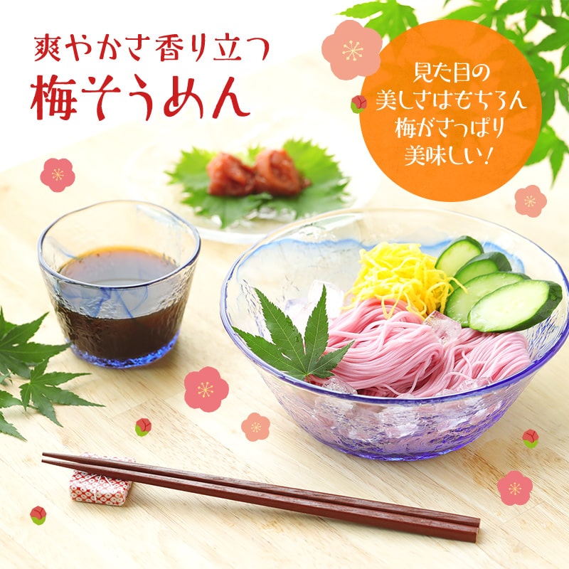 紀州梅そうめん10食セット専用めんつゆ付