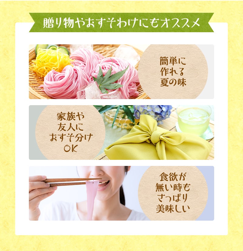 紀州梅そうめん10食セット専用めんつゆ付