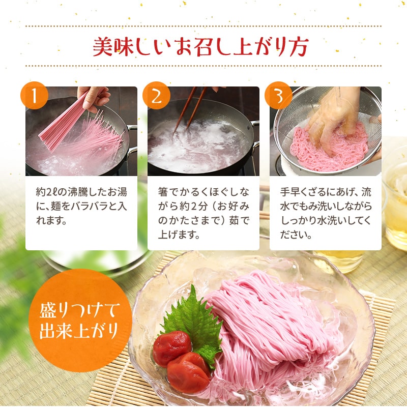 紀州梅そうめん10食セット専用めんつゆ付