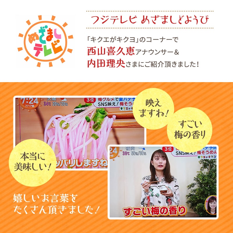 紀州梅そうめん10食セット専用めんつゆ付