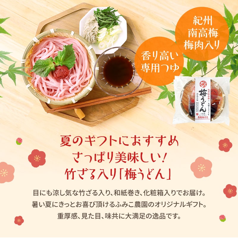 紀州冷し梅うどんセット（大盛り5人前）