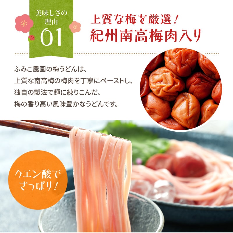 紀州冷し梅うどんセット（大盛り5人前）