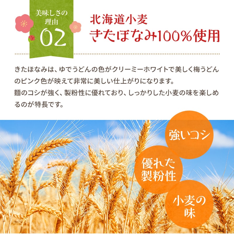 紀州冷し梅うどんセット（大盛り5人前）