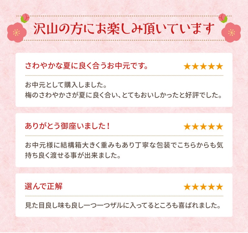 紀州冷し梅うどんセット（大盛り5人前）