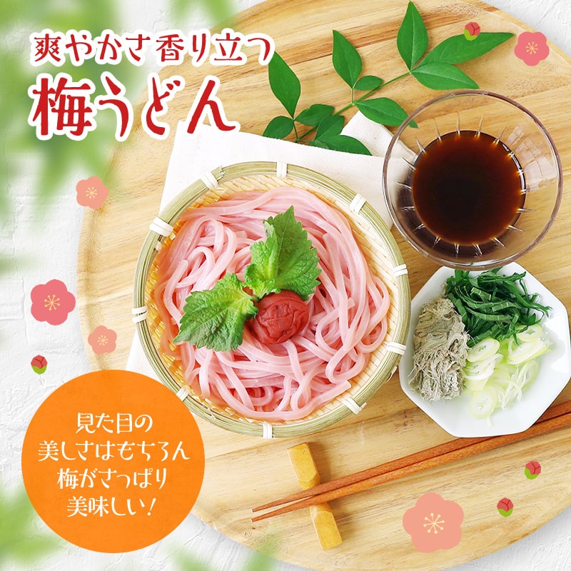 紀州冷し梅うどんセット（大盛り5人前）