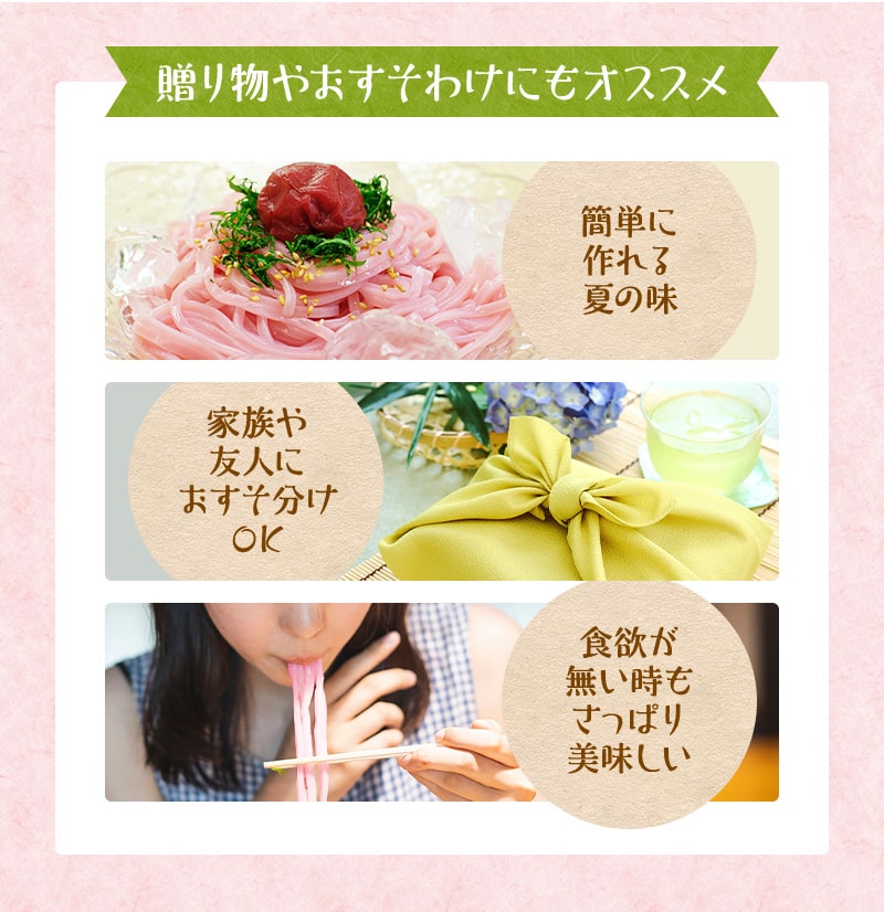 紀州冷し梅うどんセット（大盛り5人前）