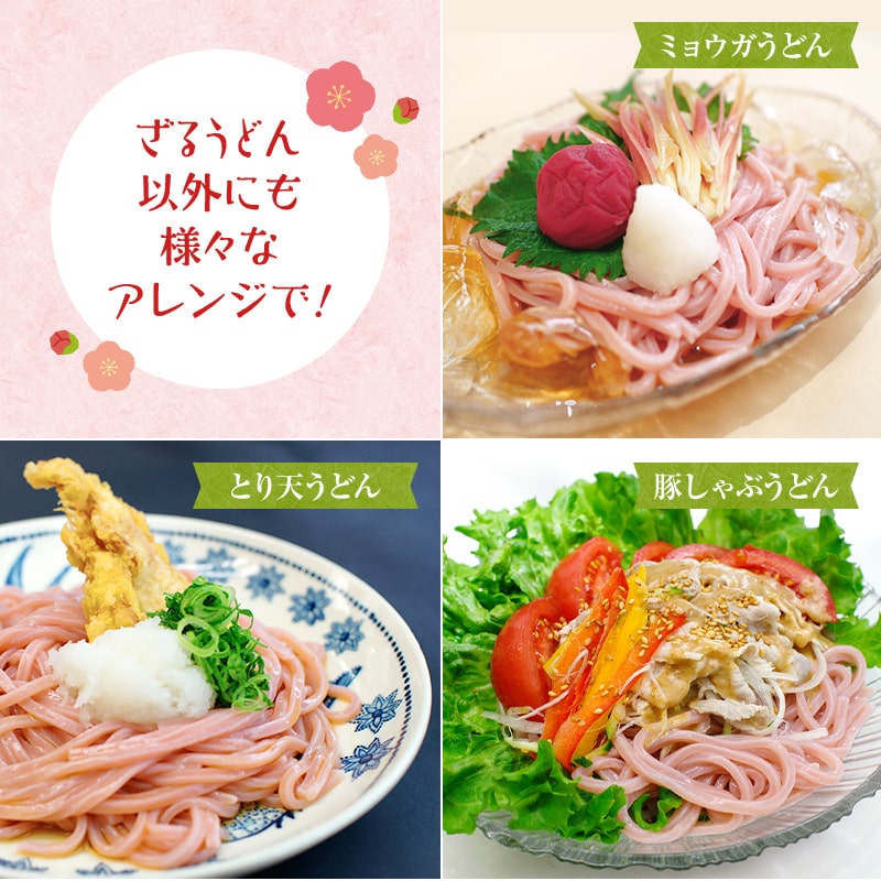 紀州冷し梅うどんセット（大盛り5人前）